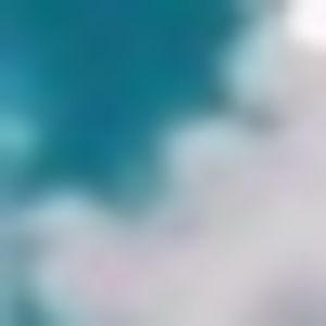 Meet your Posher, Addison